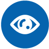 vision